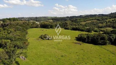 Sítio, 2 quartos, 9 hectares - Foto 1