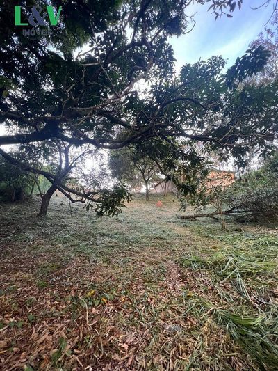 Terreno, 2041 m² - Foto 4
