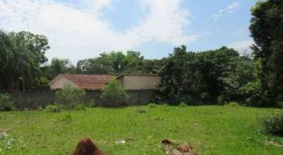 Terreno, 5000 m² - Foto 3