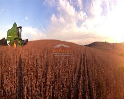 Fazenda, 150 m² - Foto 5