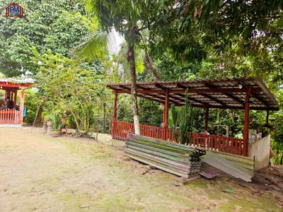 Sítio, 4 quartos, 600 m² - Foto 4