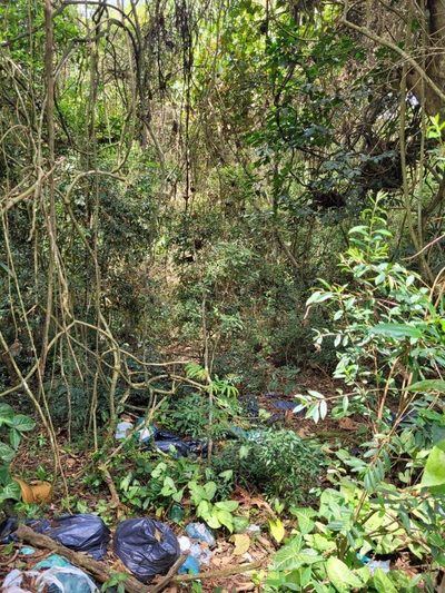 Terreno, 1003 m² - Foto 3