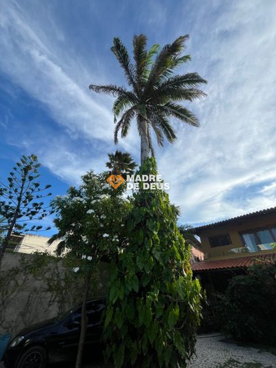 Casa, 5 quartos, 498 m² - Foto 5