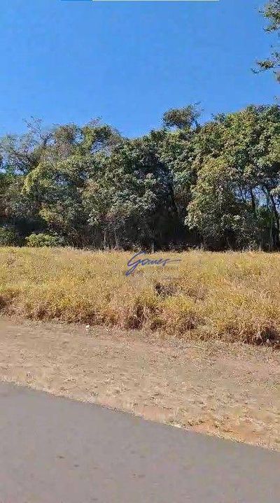 Fazenda, 1186 hectares - Foto 3