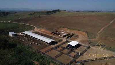 Fazenda, 257 hectares - Foto 4