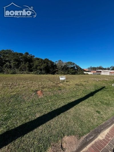 Casa, 300 m² - Foto 2