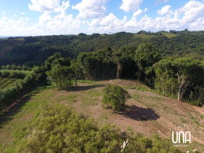 Chácara, 2 hectares - Foto 2