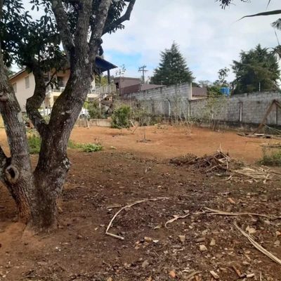 Chácara, 1000 m² - Foto 2