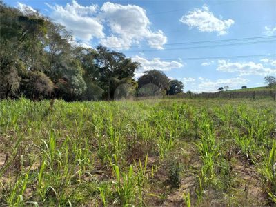 Terreno, 2 hectares - Foto 3