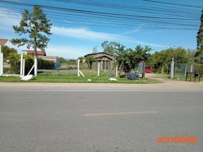 Terreno, 10000 m² - Foto 1