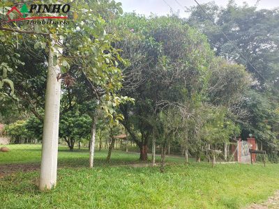 Casa, 5 quartos, 400 m² - Foto 5