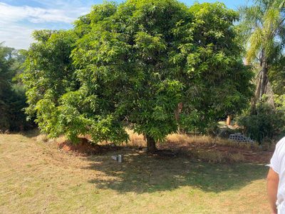 Terreno, 1380 m² - Foto 3