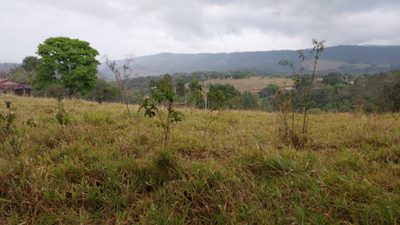 Terreno, 9200 m² - Foto 1