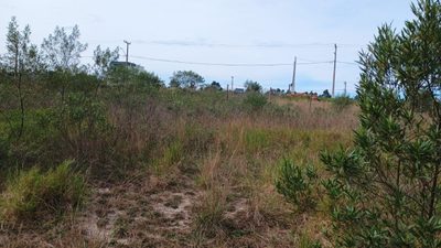 Terreno, 312 m² - Foto 3