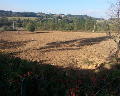 Chácara, 4 quartos, 3 hectares - Foto 2