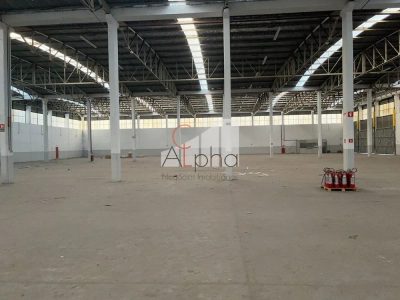 Depósito-Galpão - Foto 1