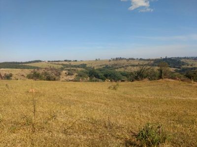 Terreno, 4 hectares - Foto 1