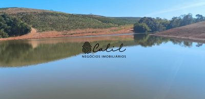 Fazenda, 169 hectares - Foto 3