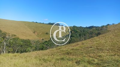 Fazenda, 247 hectares - Foto 3