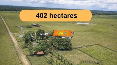 Fazenda, 402 hectares - Foto 1