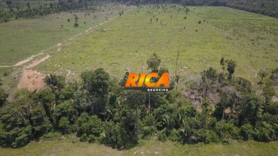 Sítio, 40 hectares - Foto 5