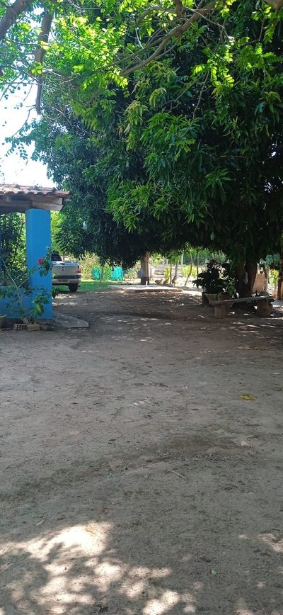 Sítio, 3 quartos, 110 m² - Foto 3