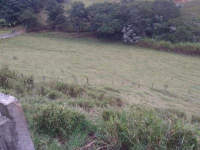 Fazenda, 97 hectares - Foto 4