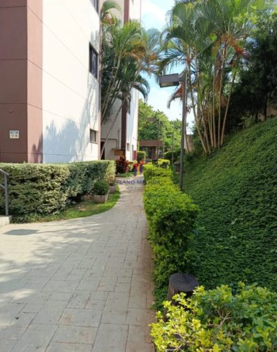Apartamento, 3 quartos, 55 m² - Foto 5