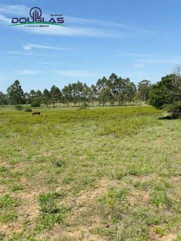 Terreno, 5000 m² - Foto 4