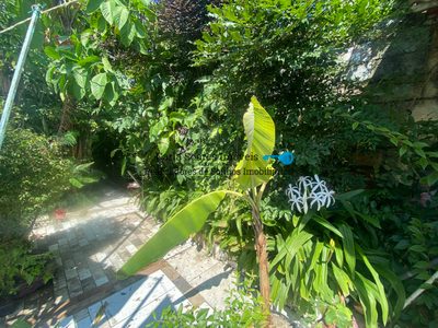 Casa, 2 quartos, 250 m² - Foto 2