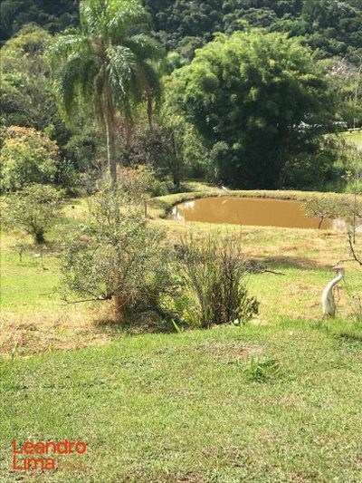 Terreno, 4 hectares - Foto 3