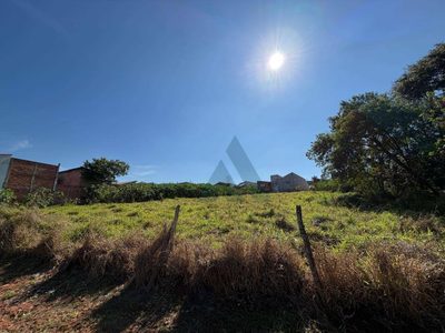 Terreno, 3000 m² - Foto 5