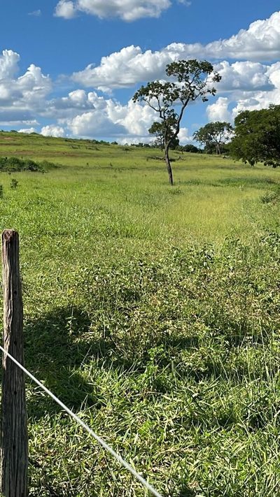 Fazenda, 2 quartos - Foto 4