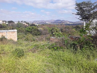 Terreno, 300 m² - Foto 5