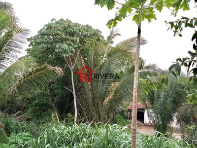 Loteamento e Condomínio, 1 hectares - Foto 3