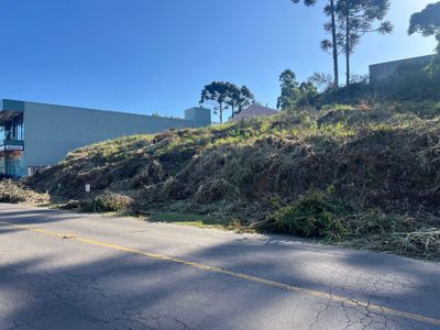 Terreno, 384 hectares - Foto 4