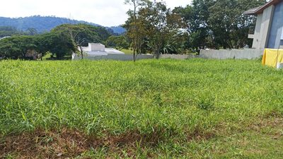 Terreno, 1000 m² - Foto 1