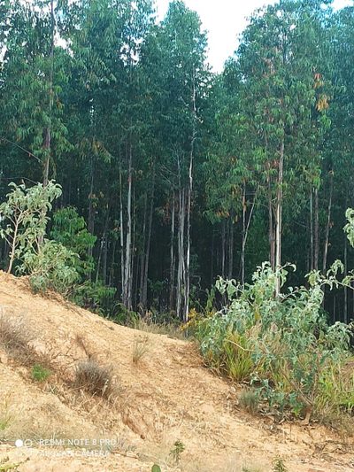 Fazenda, 1 quarto - Foto 1