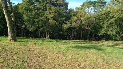Loteamento e Condomínio, 765 m² - Foto 2