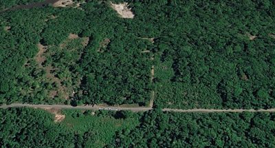 Terreno, 2 hectares - Foto 2