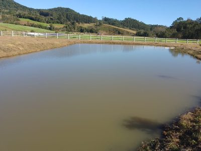 Chácara, 1 quarto, 10000 m² - Foto 2