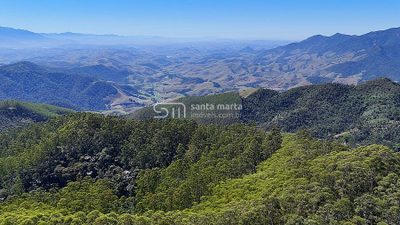 Fazenda, 252 hectares - Foto 3
