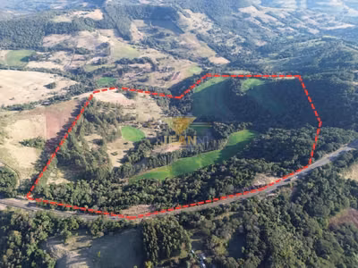 Sítio, 2 hectares - Foto 1