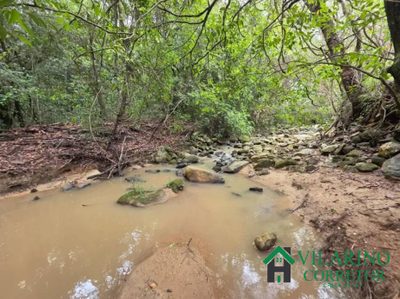 Fazenda, 12 hectares - Foto 4