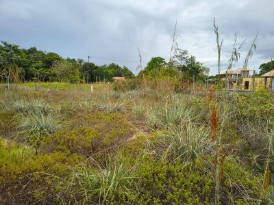 Terreno, 420 m² - Foto 3