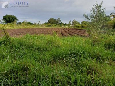 Terreno, 5000 m² - Foto 5