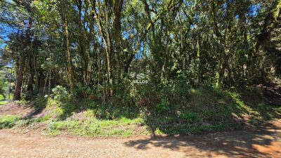 Terreno, 2500 m² - Foto 5