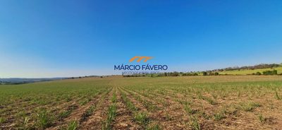 Fazenda, 501 hectares - Foto 1