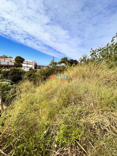 Terreno, 492 m² - Foto 3