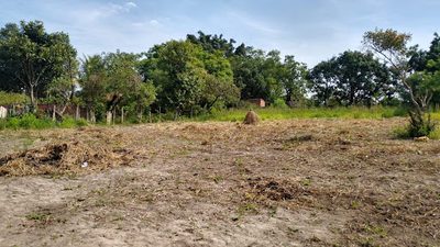 Terreno, 3166 m² - Foto 3